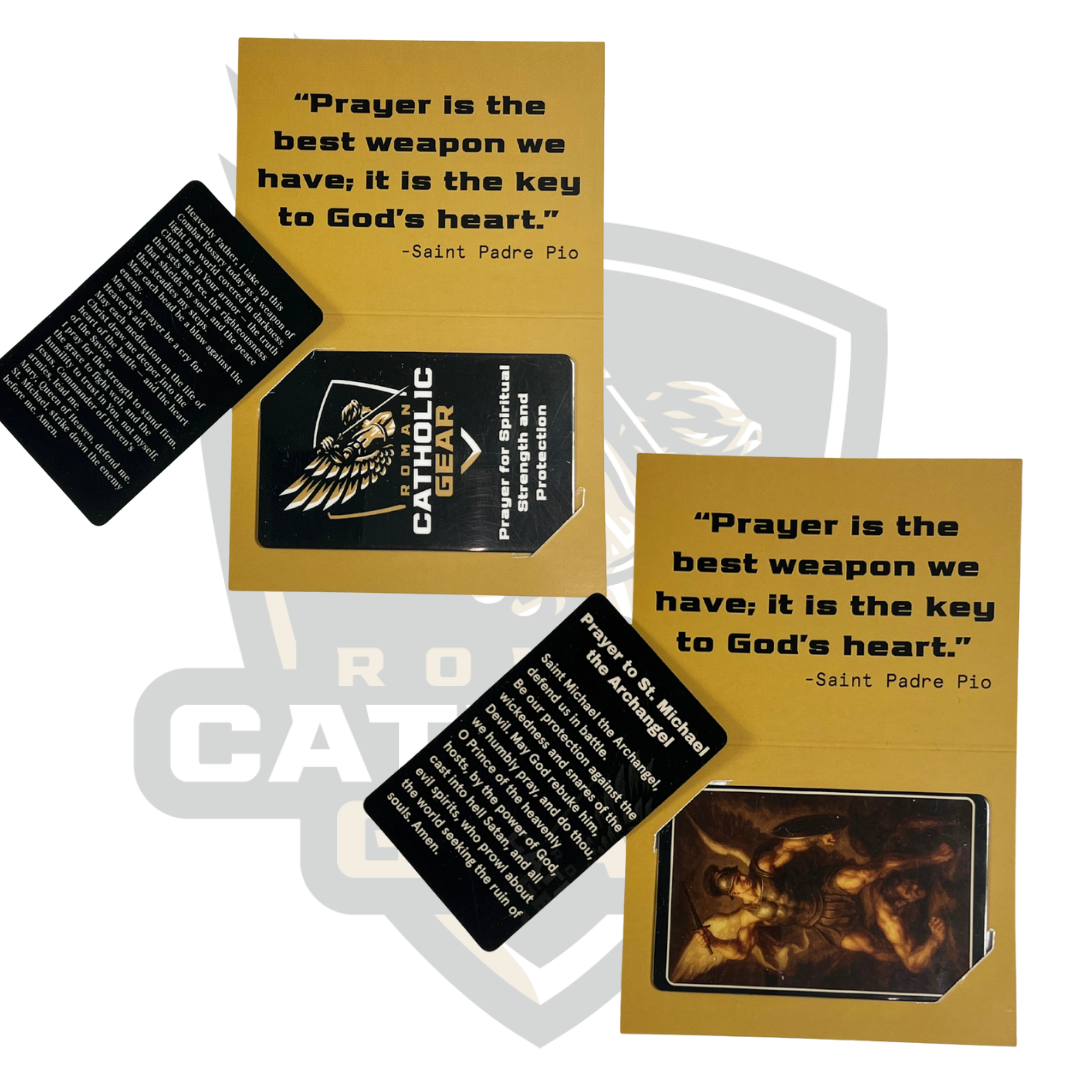 The Defender's Bundle - Silver